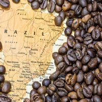 Brazil Coffee Image
