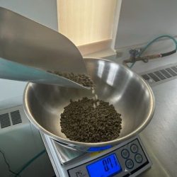 weighing coffee beans